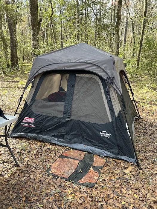 Whitehead Lake Campground 3