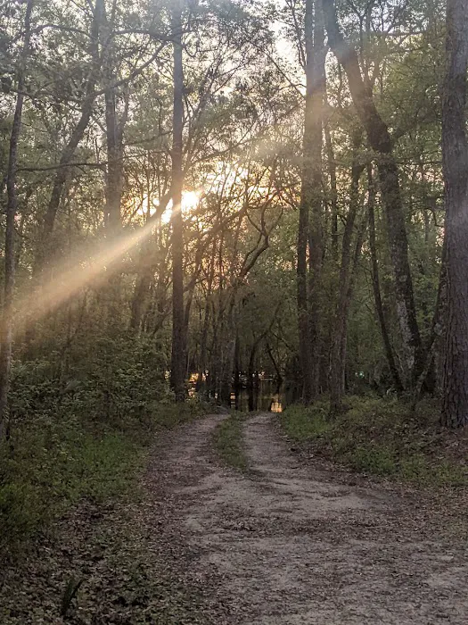 Whitehead Lake Campground 4