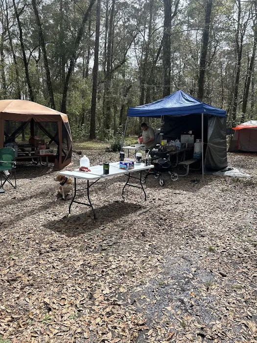 Whitehead Lake Campground 5