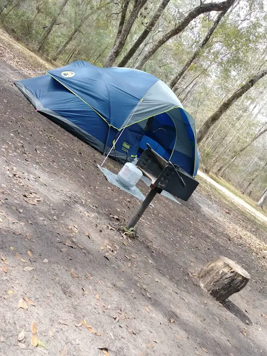 Whitehead Lake Campground 6