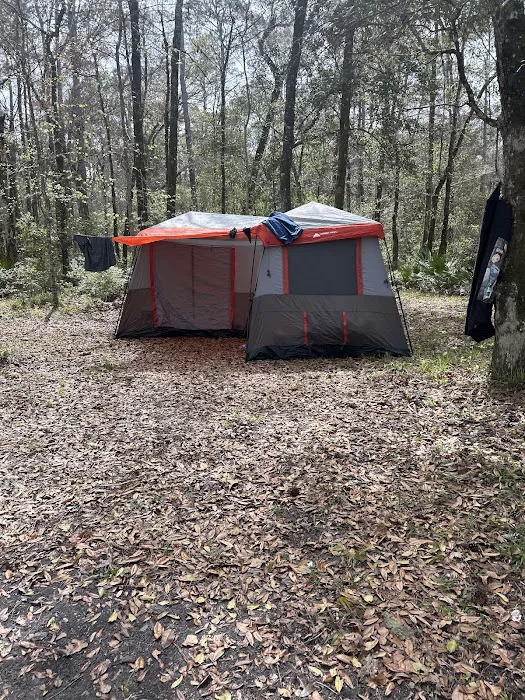 Whitehead Lake Campground 8