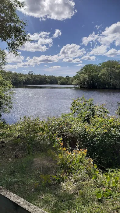Womack Creek Campground 1
