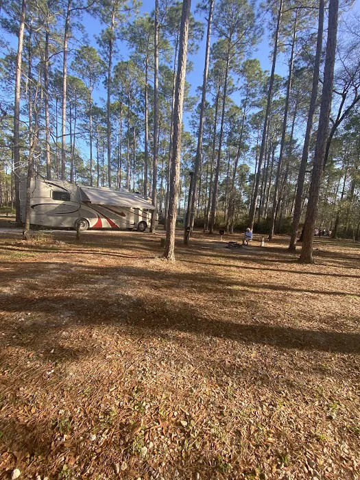 Womack Creek Campground 3