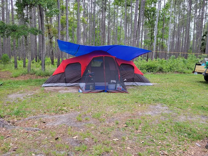 Womack Creek Campground 6