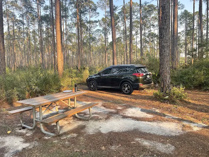 Womack Creek Campground 5