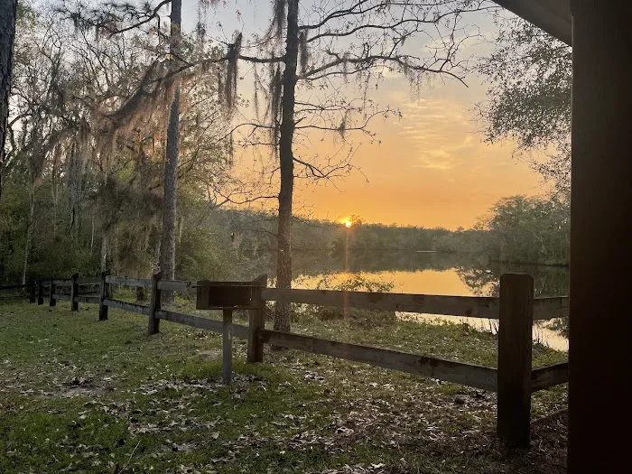 Womack Creek Campground 8