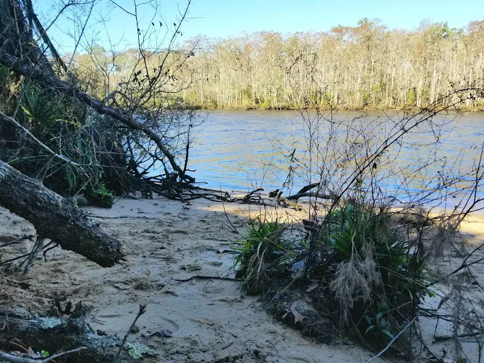 Womack Creek Campground 9