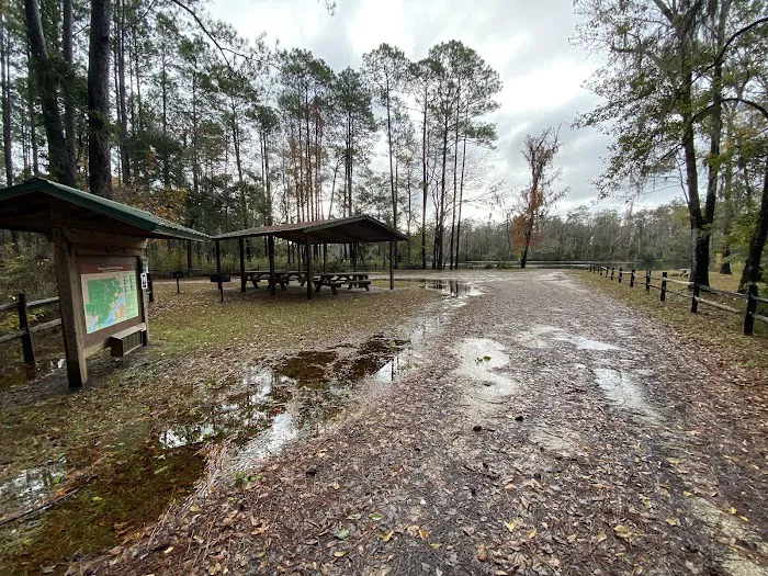 Rock Landing Campground 2
