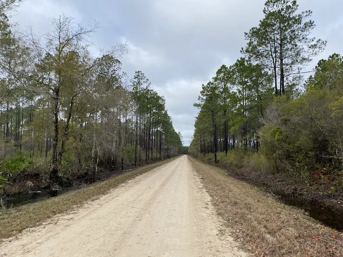 Rock Landing Campground 3