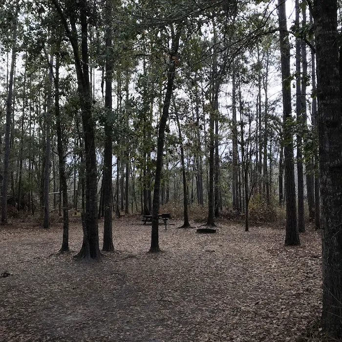 Rock Landing Campground 9