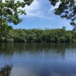 Wood Lake Recreation Area/Campground