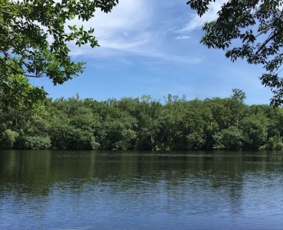 Wood Lake Recreation Area/Campground