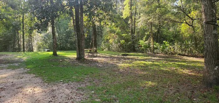 Wood Lake Recreation Area/Campground 8