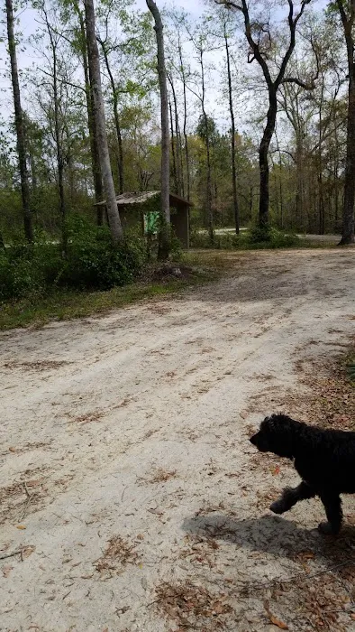 County Line OHV Campground 3