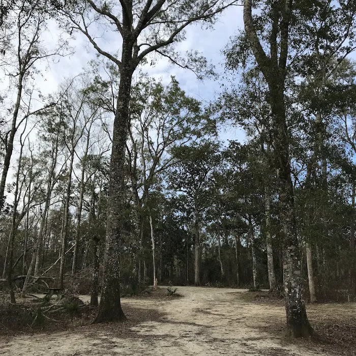 County Line OHV Campground 7