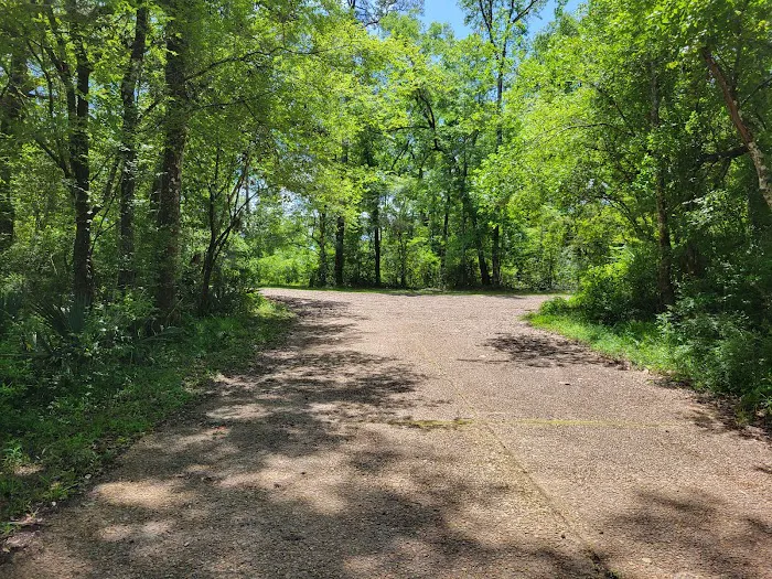 Hitchcock Lake Campground 7