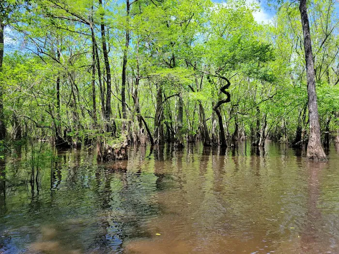 Hitchcock Lake Campground 5