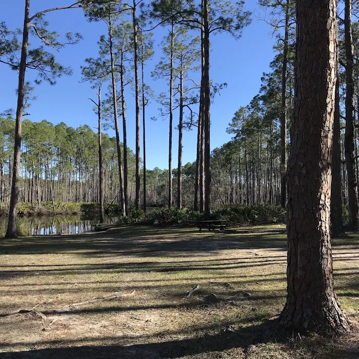 New River Primitive Campsite 8 3