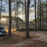 New River Primitive Campsite 8