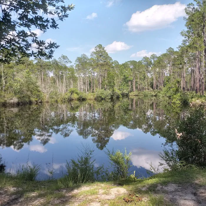 New River Primitive Campsite 8 5