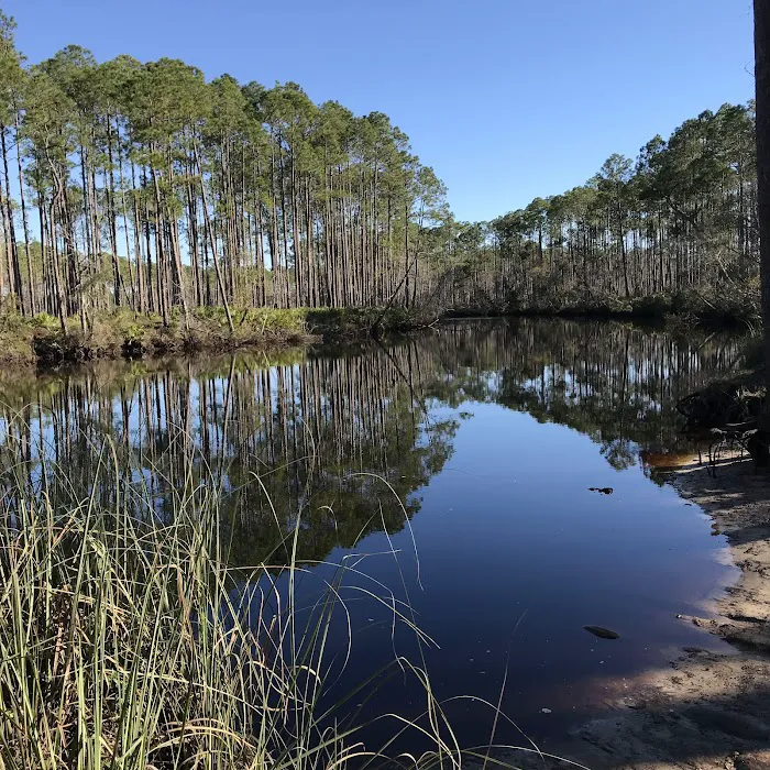 New River Primitive Campsite 8 6