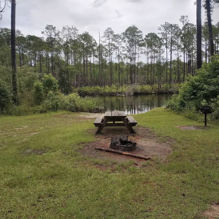 New River Primitive Campsite 8 4