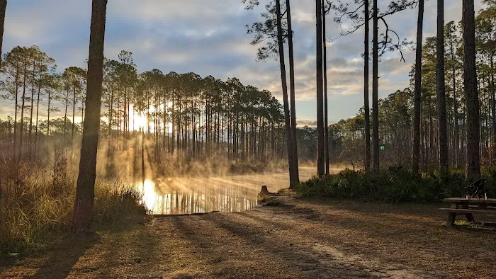 New River Primitive Campsite 8 9