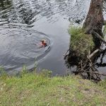 #9 Pope Place Campsite