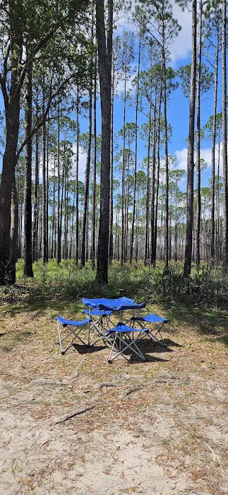 #9 Pope Place Campsite 5