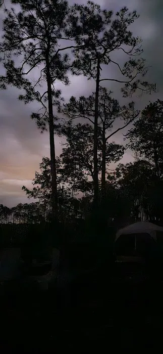 #9 Pope Place Campsite 2
