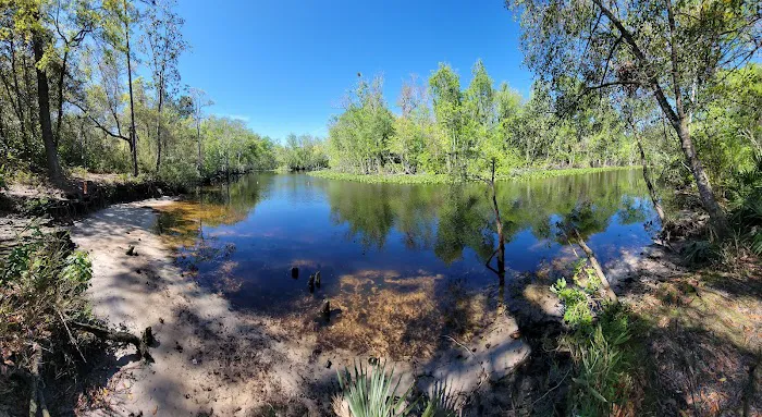 Davenport Landing Trailhead, Ocala National Forest 1