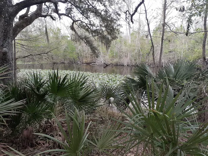 Davenport Landing Trailhead, Ocala National Forest 0