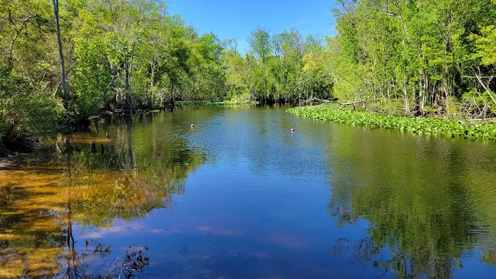 Davenport Landing Trailhead, Ocala National Forest 7
