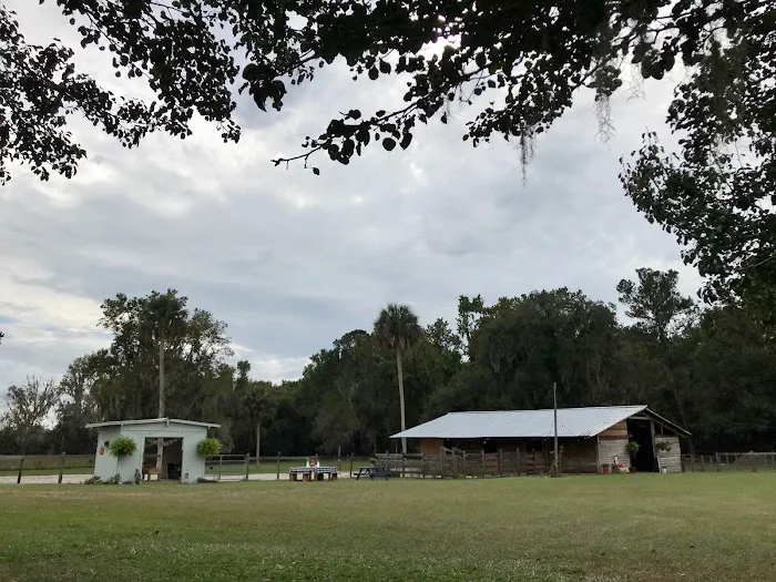 Collins Farm 4