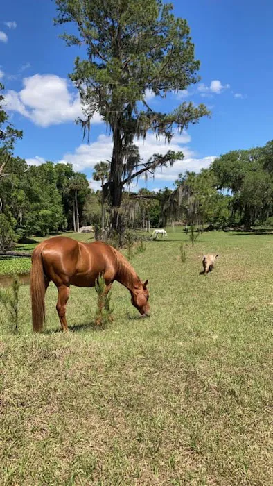 Collins Farm 3