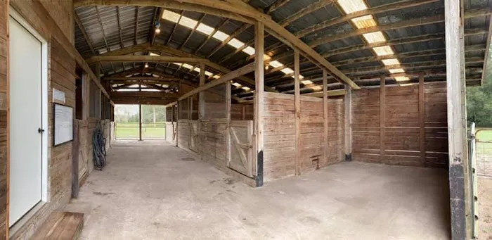 Collins Farm 9