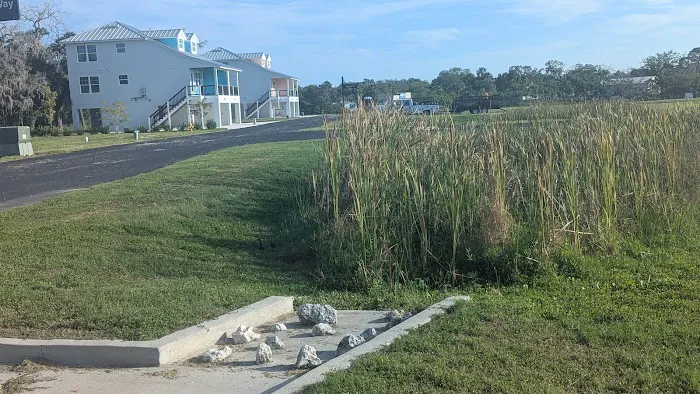 Green Key rd 2