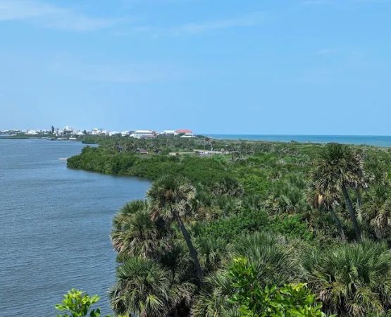 Canaveral National Seashore Backcountry Island Campground