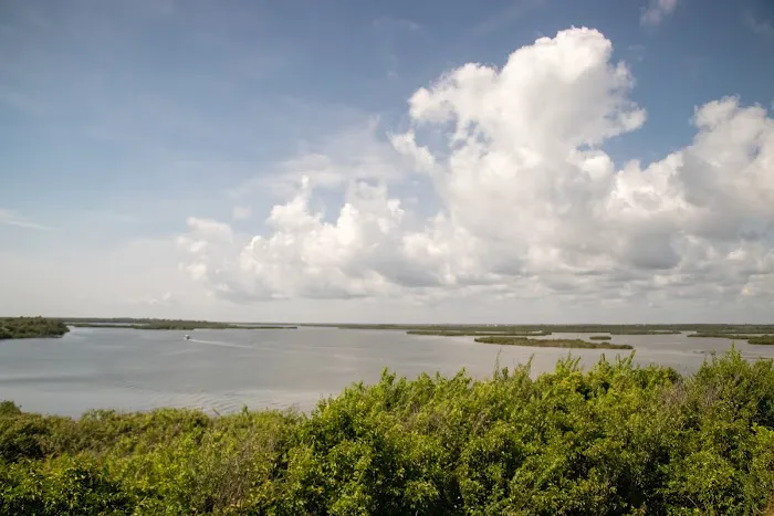 Canaveral National Seashore Backcountry Island Campground 8