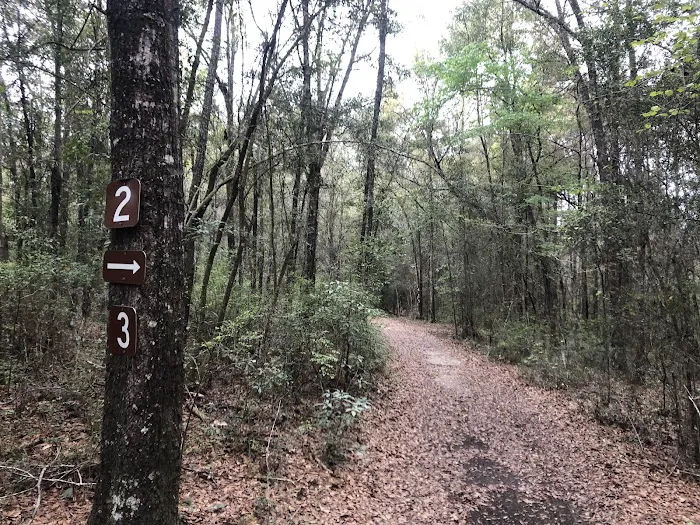 Campsite #3 6