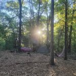 Rainbow Cove Camp Site