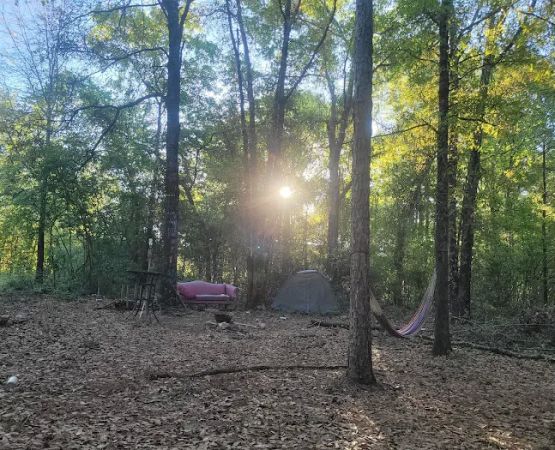 Rainbow Cove Camp Site