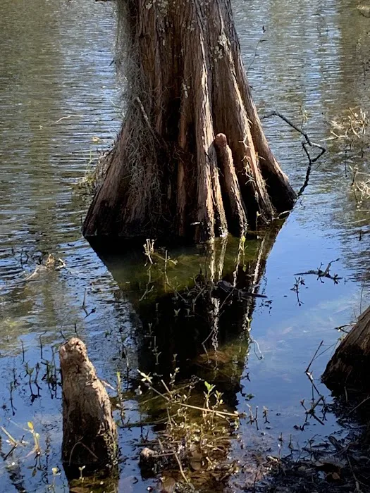 Live Oak Landing 0
