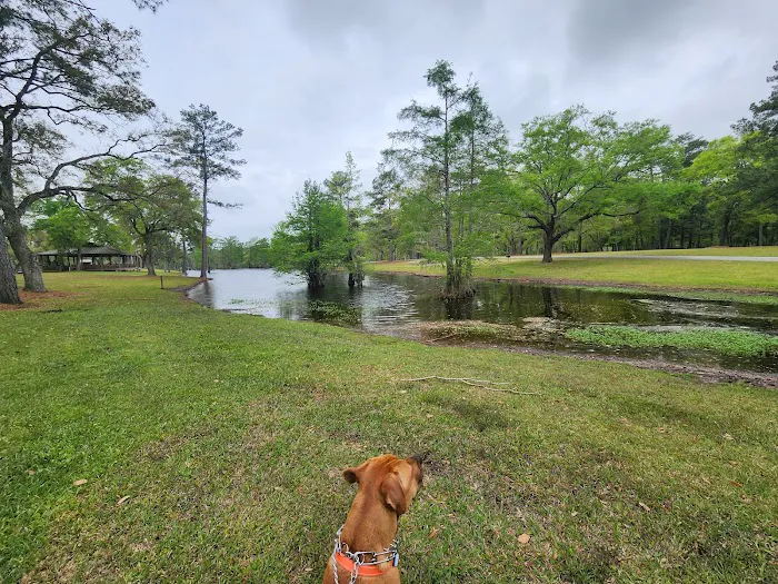 Live Oak Landing 4