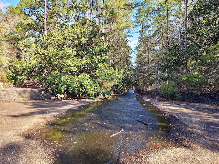 Scoutshire Woods 2
