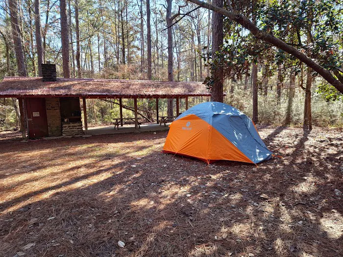 Scoutshire Woods 8