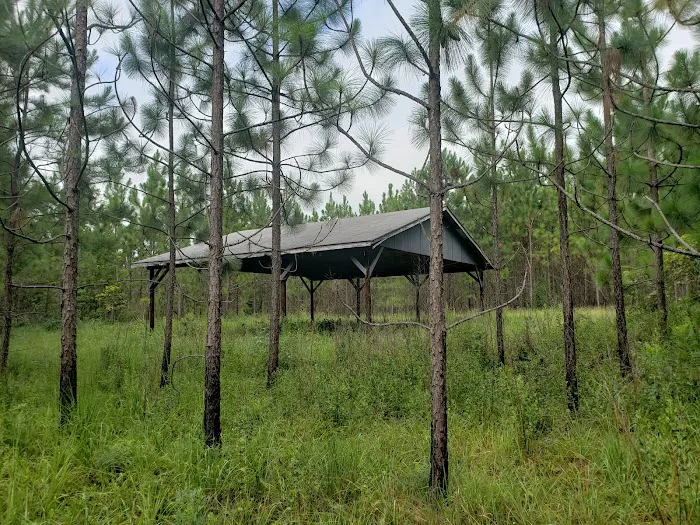 Rum Creek Camping 2