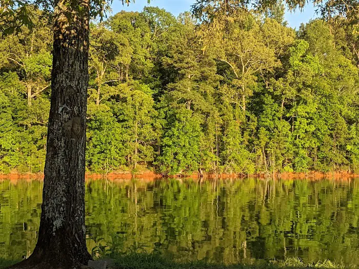 Dames Ferry Campground 9