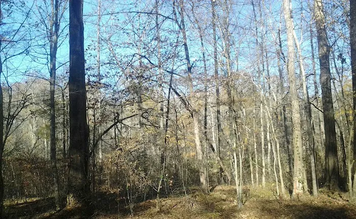 Factory Shoals Park 9