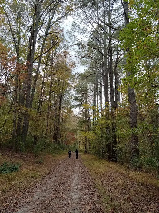 The Farm at Wilkerson Mill Camp 6